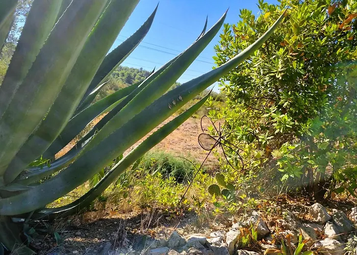 Βίλα Serre Oupia